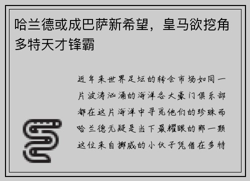 哈兰德或成巴萨新希望，皇马欲挖角多特天才锋霸